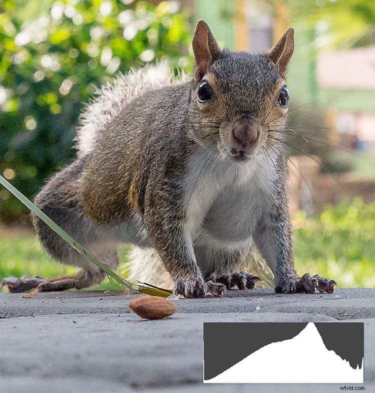 Why Your Eyes and Camera Don t Always Agree: Unlocking Hidden Photo Details