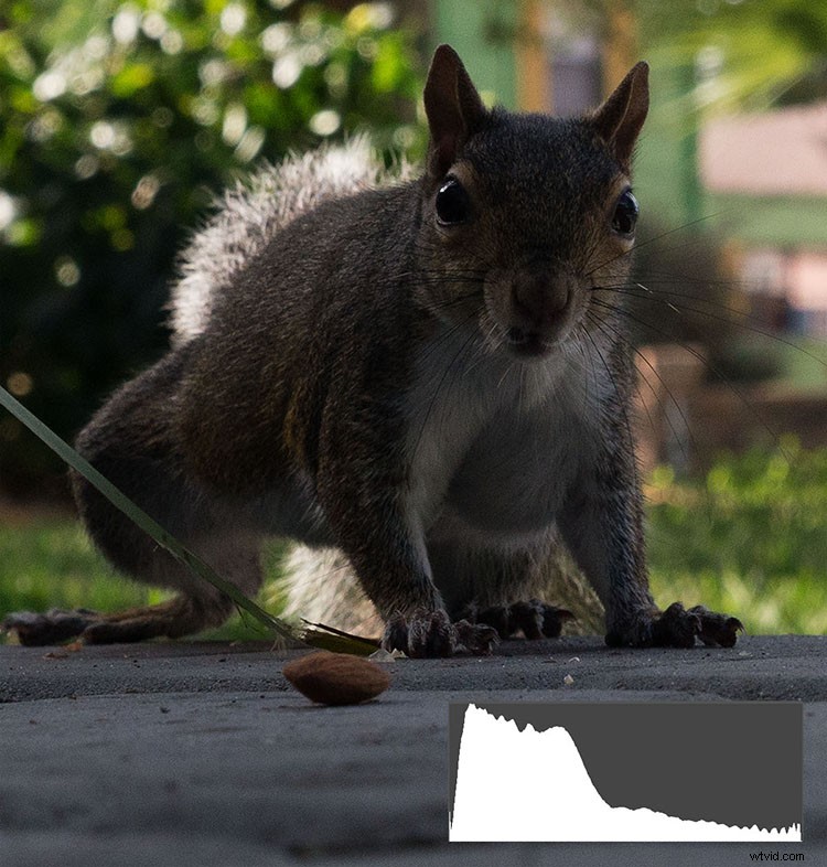 Why Your Eyes and Camera Don t Always Agree: Unlocking Hidden Photo Details