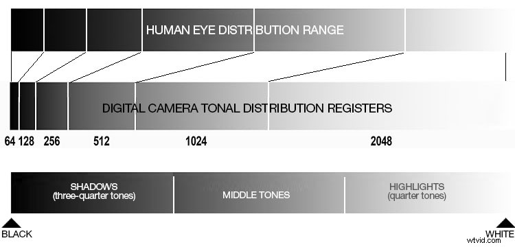 Why Your Eyes and Camera Don t Always Agree: Unlocking Hidden Photo Details