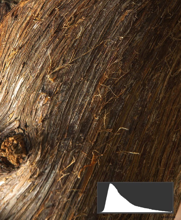 Why Your Eyes and Camera Don t Always Agree: Unlocking Hidden Photo Details