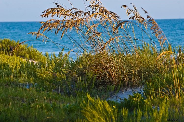 Why Your Eyes and Camera Don t Always Agree: Unlocking Hidden Photo Details