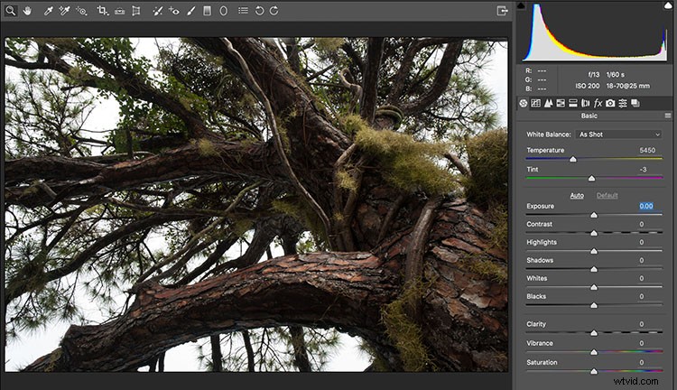 Why Your Eyes and Camera Don t Always Agree: Unlocking Hidden Photo Details