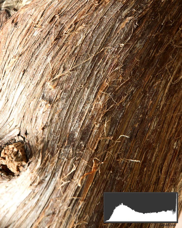 Why Your Eyes and Camera Don t Always Agree: Unlocking Hidden Photo Details