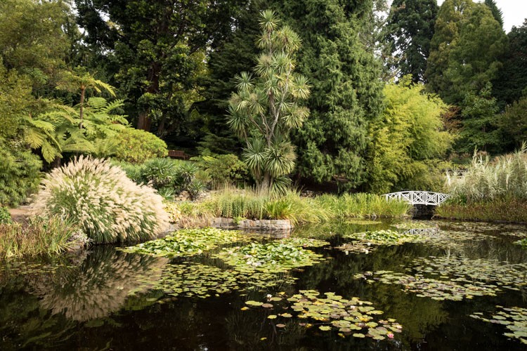 Essential Composition Checklist for Beginner Photographers