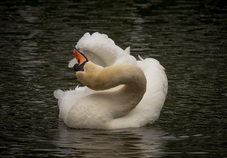 Essential Composition Checklist for Beginner Photographers