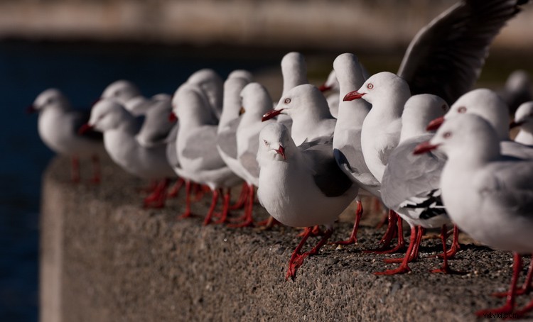 Essential Composition Checklist for Beginner Photographers