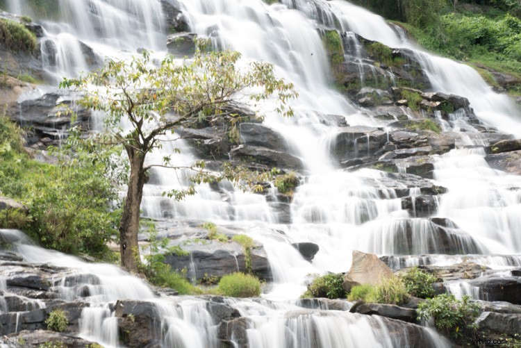 Mastering ISO in Photography: Highs, Lows, and Pro Tips for Optimal Exposure