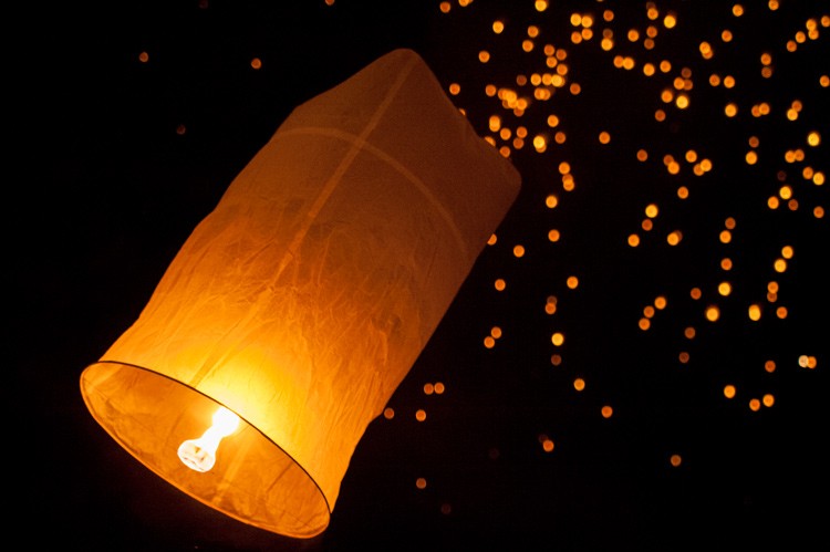 Mastering ISO in Photography: Highs, Lows, and Pro Tips for Optimal Exposure