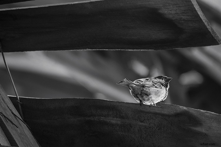 Top 10 Everyday Subjects to Capture Your Neighborhood s Story Through Photography