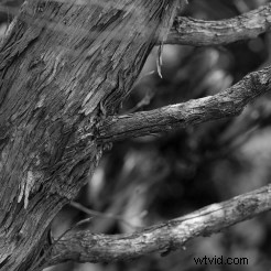 Top 10 Everyday Subjects to Capture Your Neighborhood s Story Through Photography