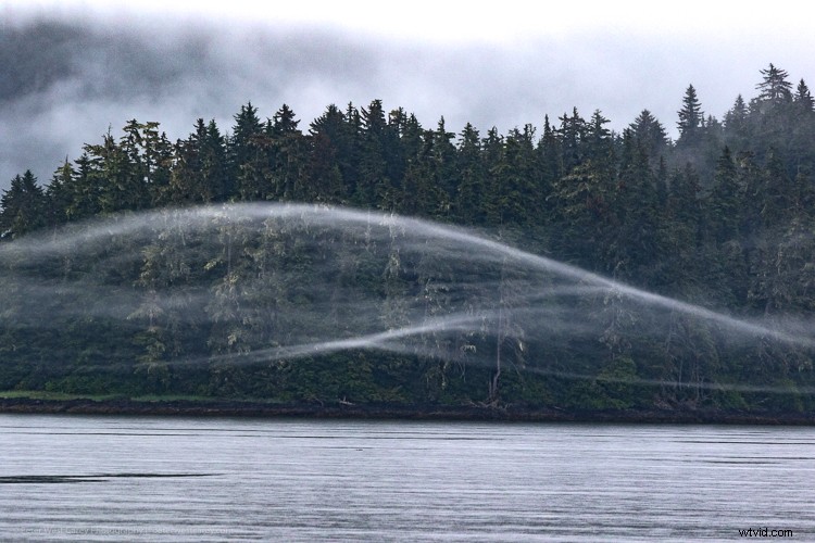 Mastering Photography on Gray, Gloomy Days: Pro Tips for Stunning Shots