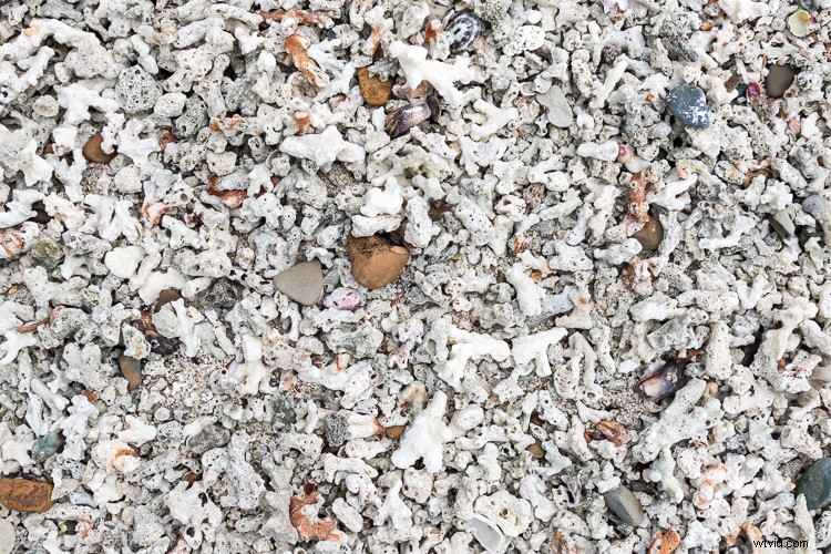 Mastering Photography on Gray, Gloomy Days: Pro Tips for Stunning Shots