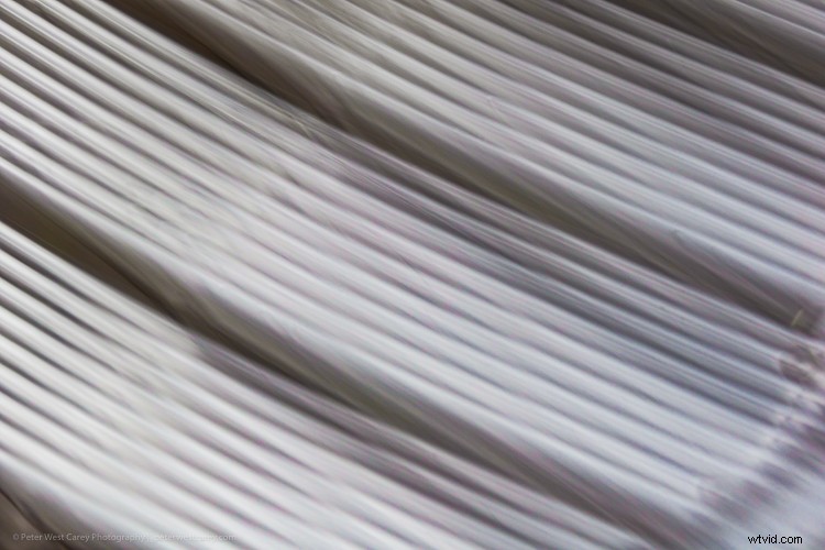 Mastering Photography on Gray, Gloomy Days: Pro Tips for Stunning Shots