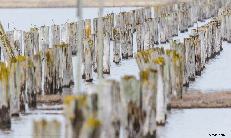 Mastering Photography on Gray, Gloomy Days: Pro Tips for Stunning Shots