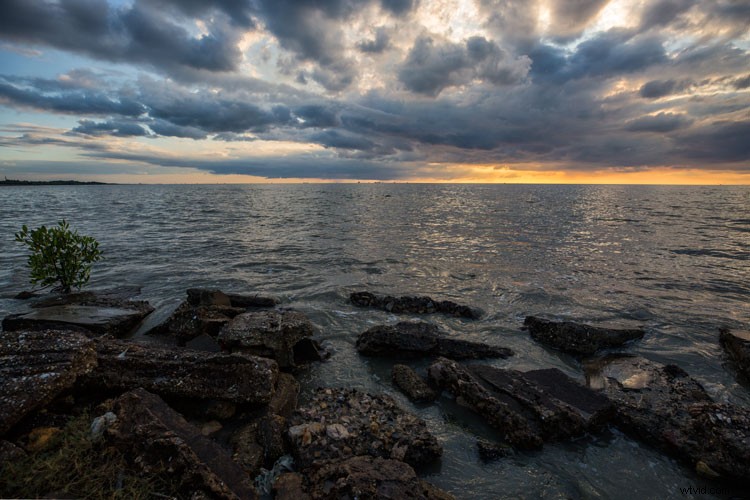 Master Post-Processing Workflows: Essential Tips for Stunning Landscape Photography