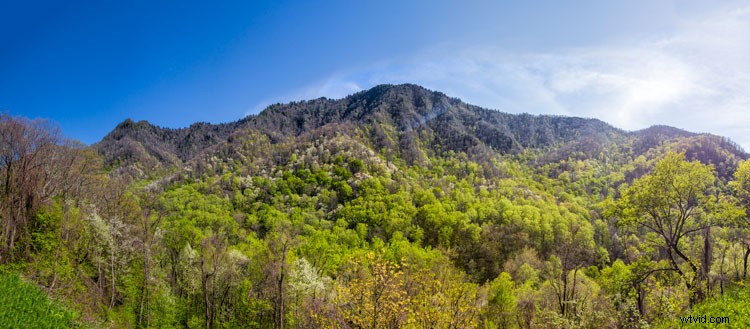 Master Post-Processing Workflows: Essential Tips for Stunning Landscape Photography