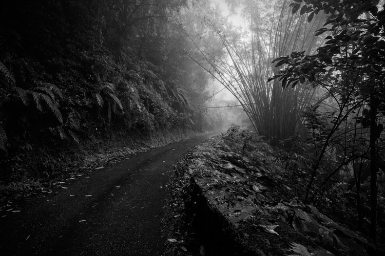 Master Post-Processing Workflows: Essential Tips for Stunning Landscape Photography