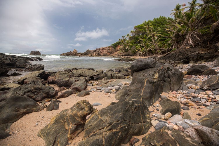 Master Post-Processing Workflows: Essential Tips for Stunning Landscape Photography