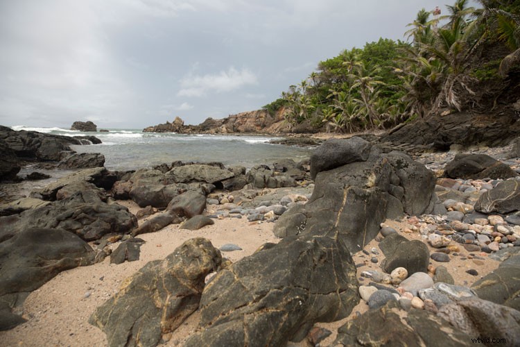 Master Post-Processing Workflows: Essential Tips for Stunning Landscape Photography