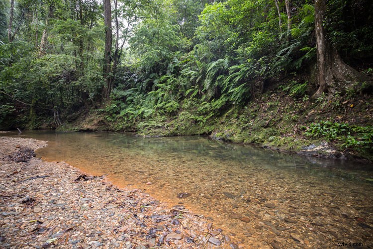 Master Post-Processing Workflows: Essential Tips for Stunning Landscape Photography