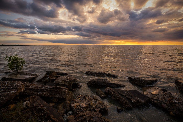 Master Post-Processing Workflows: Essential Tips for Stunning Landscape Photography