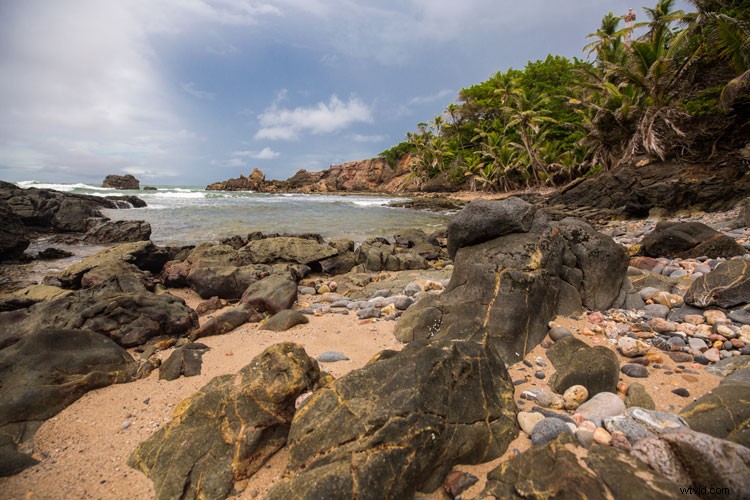 Master Post-Processing Workflows: Essential Tips for Stunning Landscape Photography