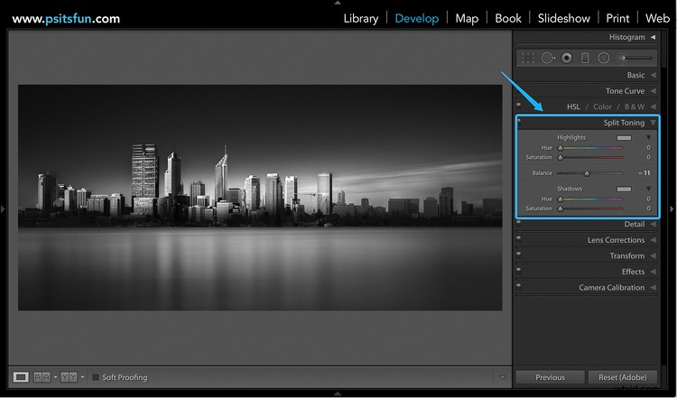 Master Silky Split-Toned Black & White Photos with Luminosity Masks