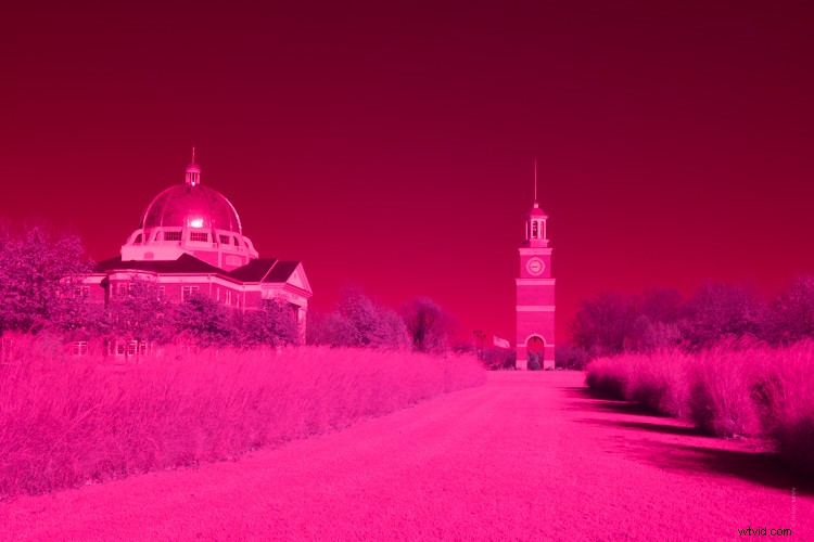 Discovering Infrared Photography: My First Shoot and Ethereal Results