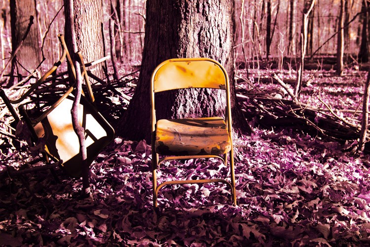 Discovering Infrared Photography: My First Shoot and Ethereal Results