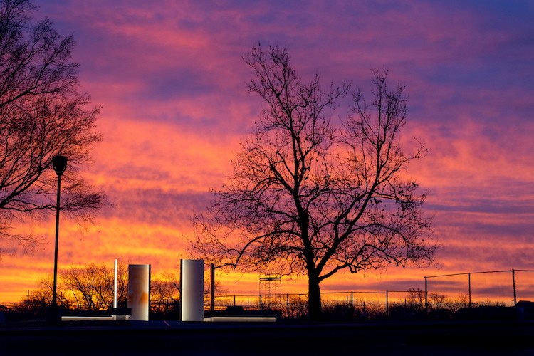 RAW vs. JPEG: Which Image Format is Best for Your Photography?