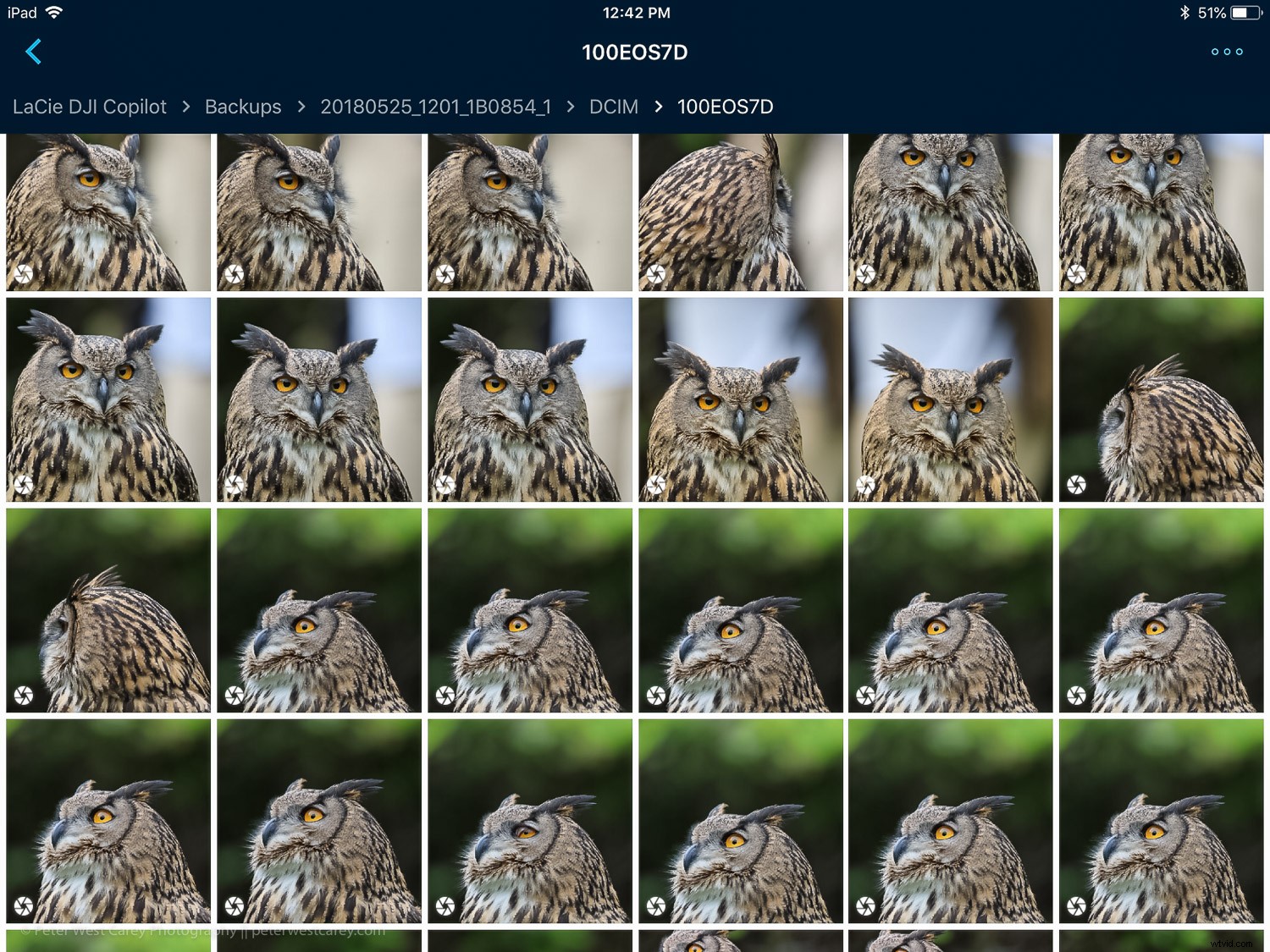 LaCie DJI Copilot BOSS Review: Battery-Powered Portable Hard Drive for Creators