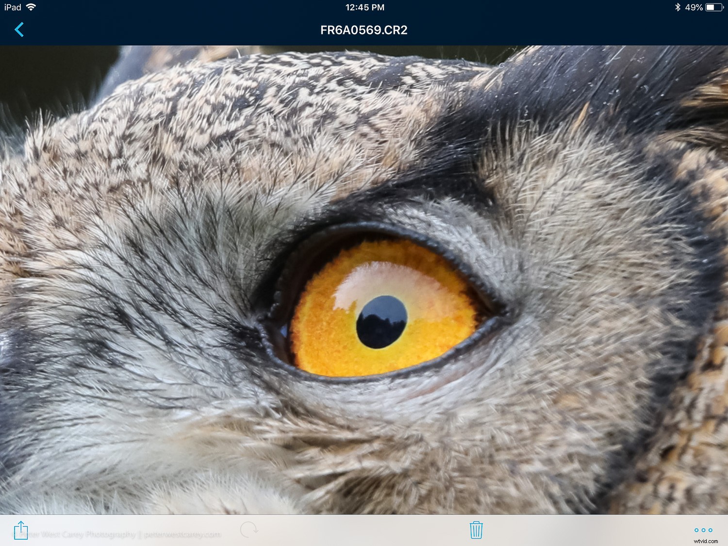 LaCie DJI Copilot BOSS Review: Battery-Powered Portable Hard Drive for Creators