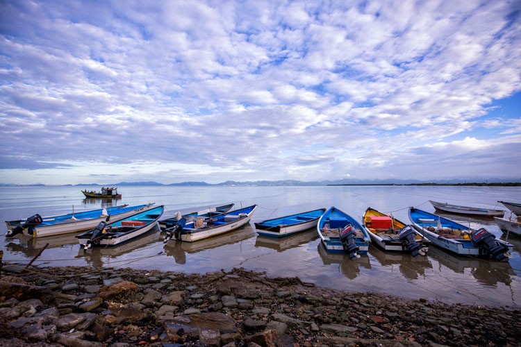 Mastering Color in Photography: Expert Tips for Stunning Shots