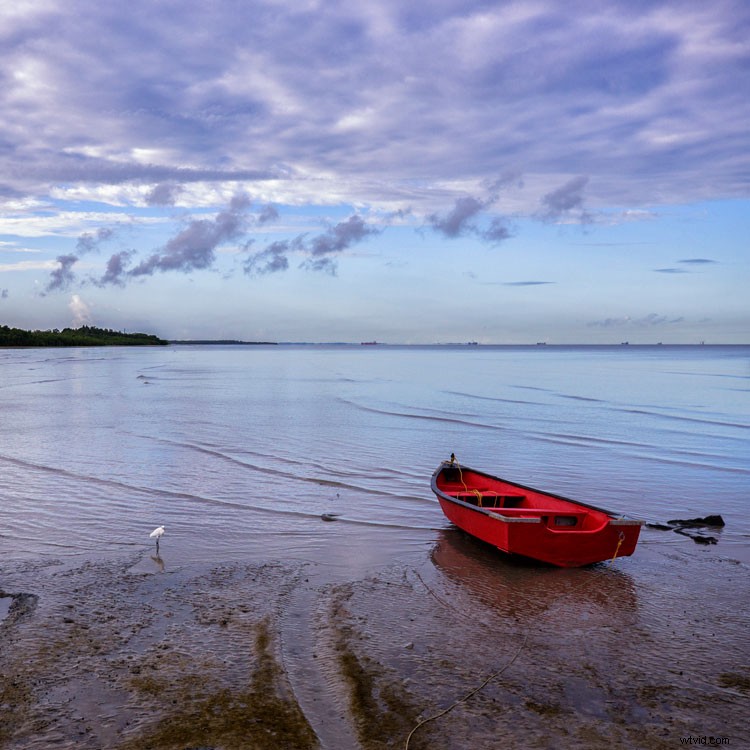 Mastering Color in Photography: Expert Tips for Stunning Shots