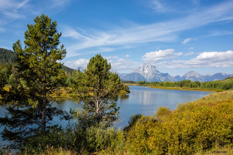 Mastering Color in Photography: Expert Tips for Stunning Shots