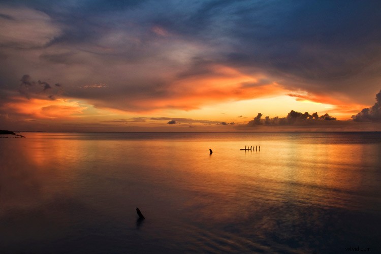 Mastering Color in Photography: Expert Tips for Stunning Shots