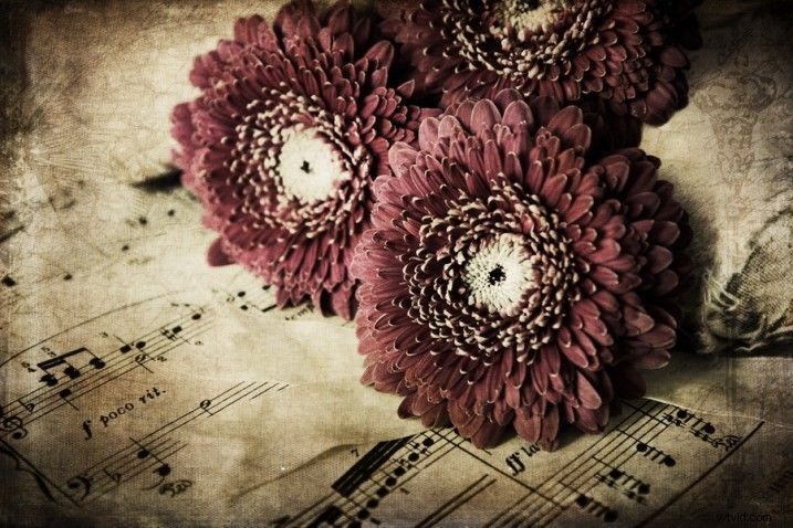 Master Creative Layer Editing in ACDSee Ultimate Photo Studio 2018: Pro Tips & Techniques