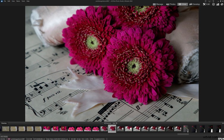 Master Creative Layer Editing in ACDSee Ultimate Photo Studio 2018: Pro Tips & Techniques
