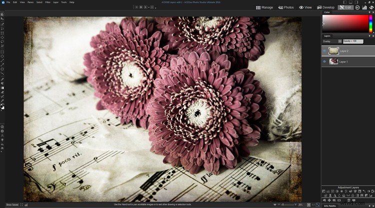 Master Creative Layer Editing in ACDSee Ultimate Photo Studio 2018: Pro Tips & Techniques