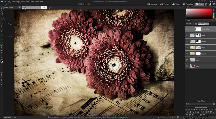 Master Creative Layer Editing in ACDSee Ultimate Photo Studio 2018: Pro Tips & Techniques