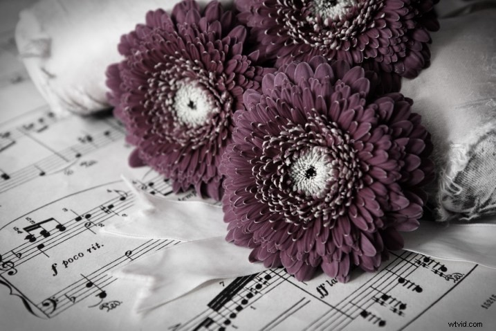 Master Creative Layer Editing in ACDSee Ultimate Photo Studio 2018: Pro Tips & Techniques