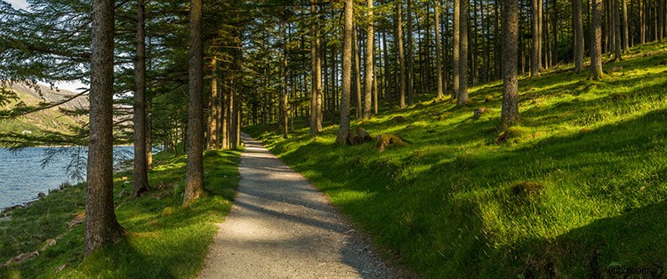 21 Expert Tips for Capturing Stunning Panoramas
