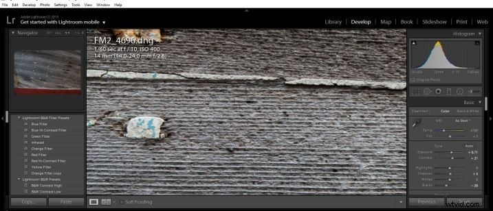 Sigma 14-24mm f/2.8 DG Art Lens Review: Exceptional Ultra-Wide Performance