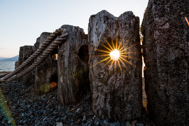 Sigma 14-24mm f/2.8 DG Art Lens Review: Exceptional Ultra-Wide Performance