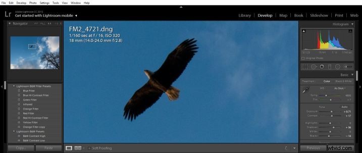 Sigma 14-24mm f/2.8 DG Art Lens Review: Exceptional Ultra-Wide Performance