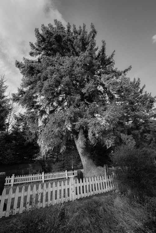 Sigma 14-24mm f/2.8 DG Art Lens Review: Exceptional Ultra-Wide Performance