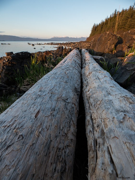 Sigma 14-24mm f/2.8 DG Art Lens Review: Exceptional Ultra-Wide Performance