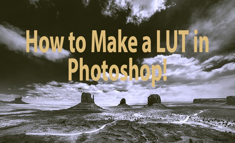 Create Professional LUTs in Photoshop: Easy Step-by-Step Guide