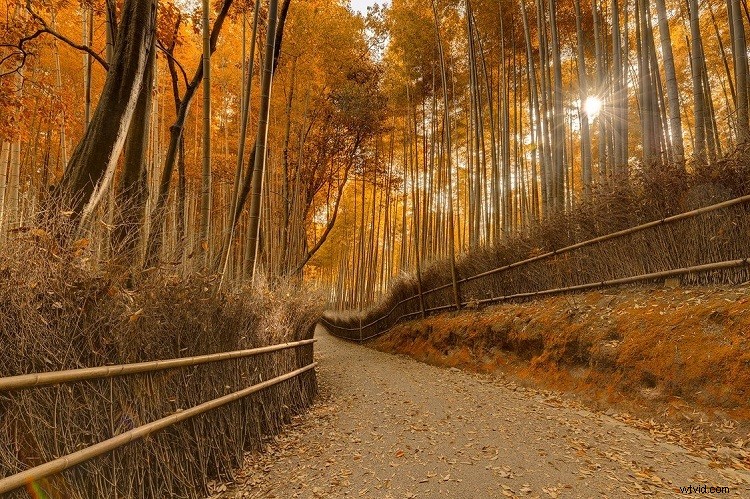 Enter the Photomatix  Spring in HDR  Contest: Win One of Nine Licenses – Deadline Extended!