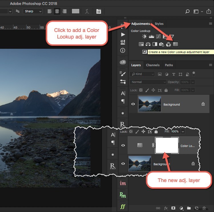 Craft Your Signature Photo Style: Master LUTs in Photoshop
